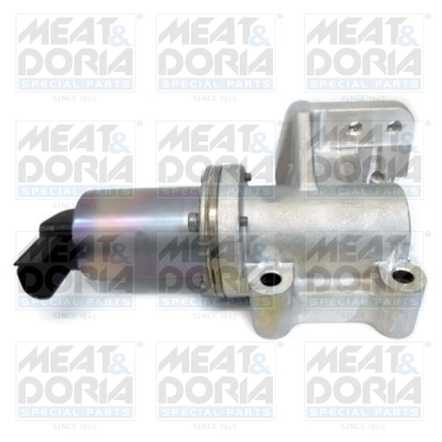 EGR Valve